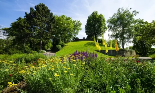 Green Spaces and Park