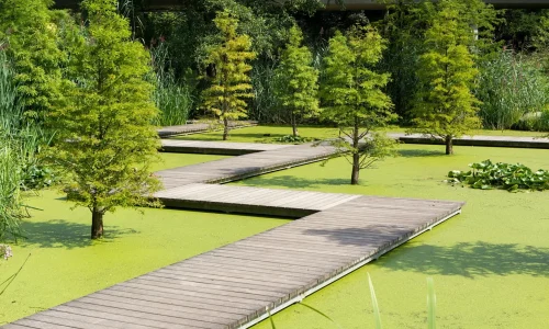 Large Green Spaces
