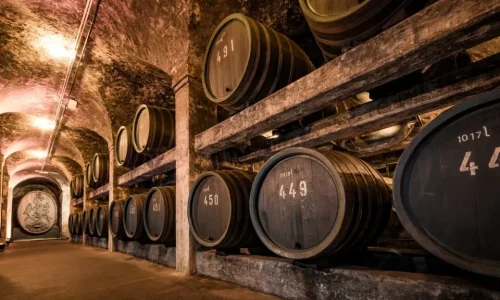 Oldest Wine Barrel of Europe